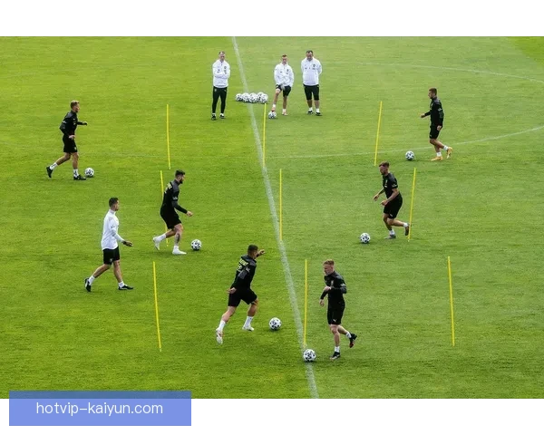 捷克世界杯历史：球队表现分析与赛事贡献回顾